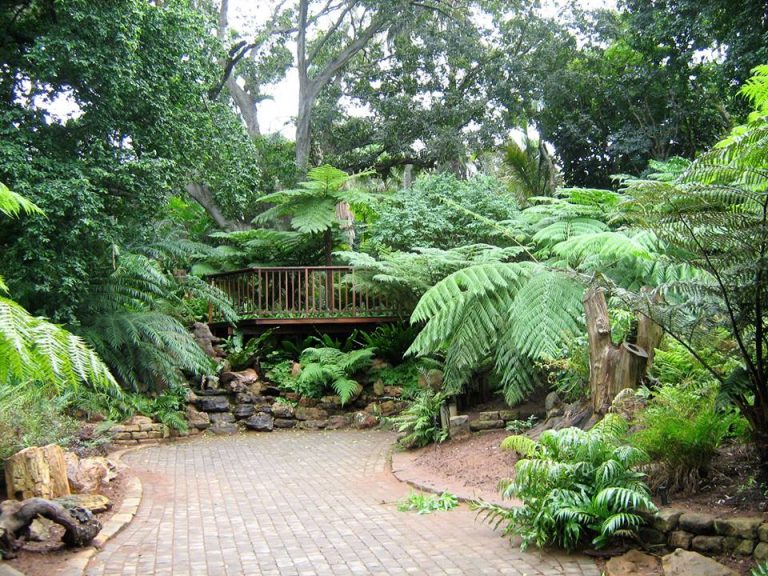 58570501 2353507764715486 4394912031086477312 n 768x576