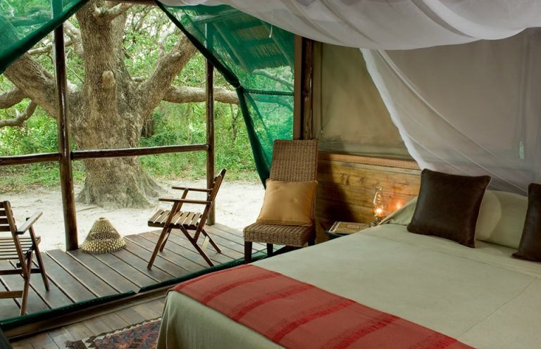 13221718 1005460152855693 4038937117793136073 n 768x496