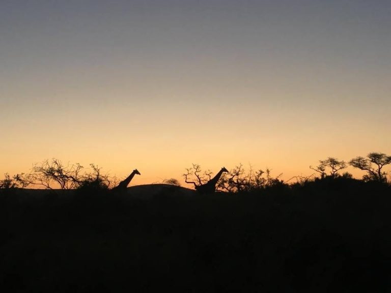 45030875 10155806427136464 7375654359968776192 n 768x576