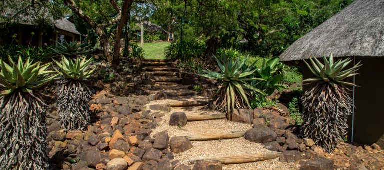 ascot accommodation banner2 768x341